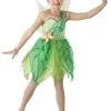Tinkerbell Jurk Luxe Disney