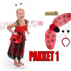 Lieveheersbeestje Jurk Pakket