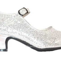 Prinsessen Schoenen Zilver Glitter + Gratis Kadootje