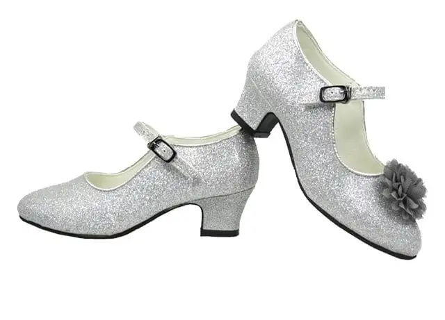 Prinsessen Schoenen Zilver Glitter + Gratis Kadootje