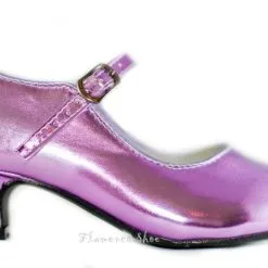 Prinsessen Schoenen Metalic + Gratis Kadootje