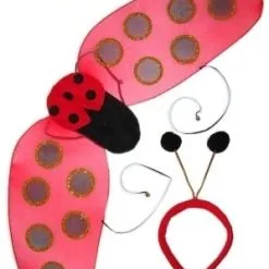 Lieveheersbeestje Vleugels En Diadeem