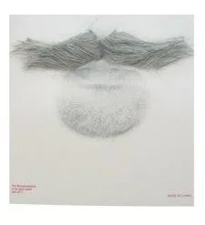 PartyXplosion Snor - Grijs - Ted