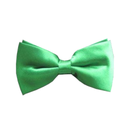 PartyXplosion Strik - Vlinderstrik - Groen - Luxe - 12x6.5cm