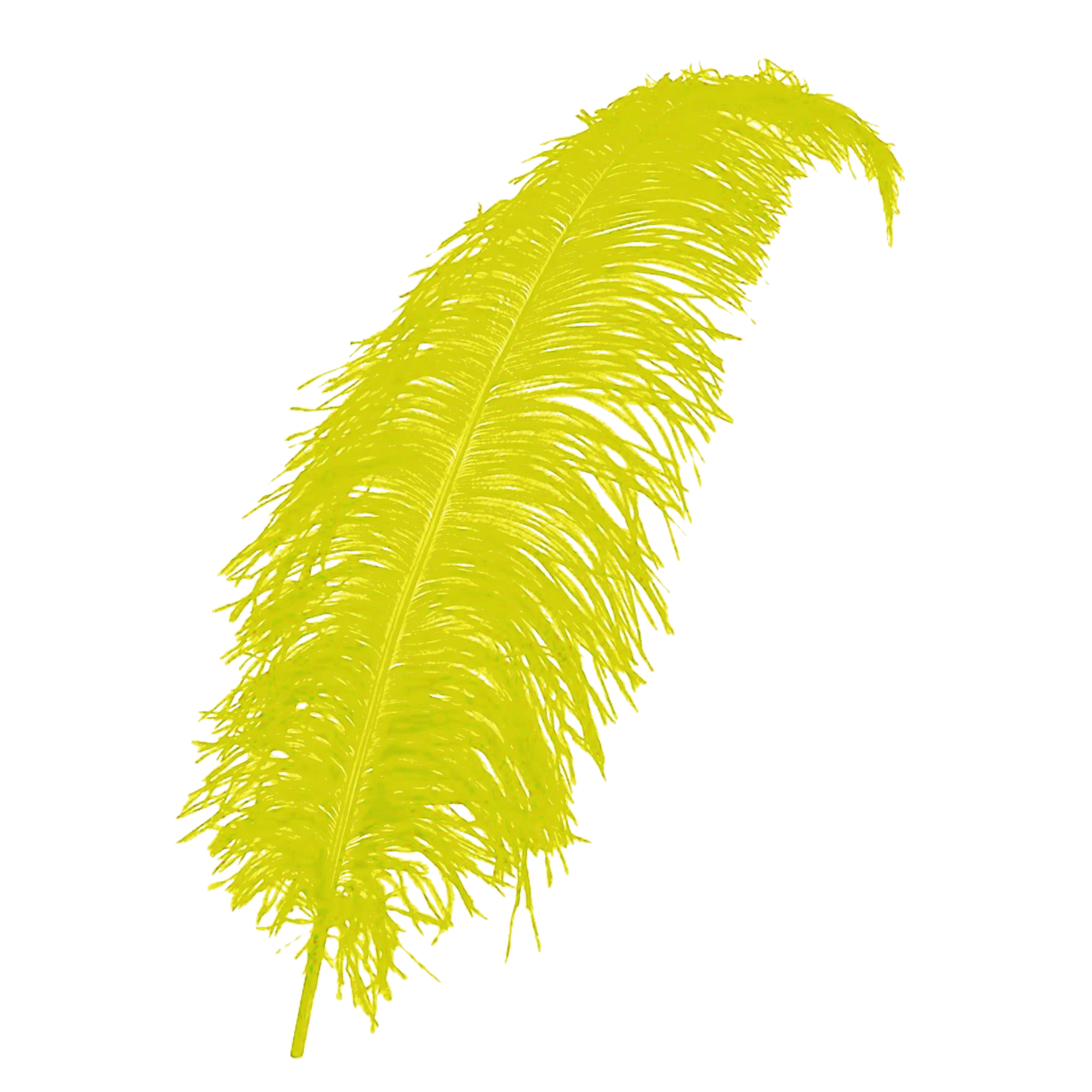 PartyXplosion Veer - Geel - Spadonis - Piet - 50cm