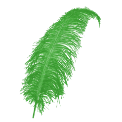 PartyXplosion Veer - Groen - Spadonis - Piet - 50cm